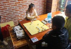  “弘扬国粹艺术，传承象棋文化”亲子活动成功