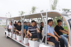 淮安市涟水县黄营镇：特色田园乡村帮扶项目集